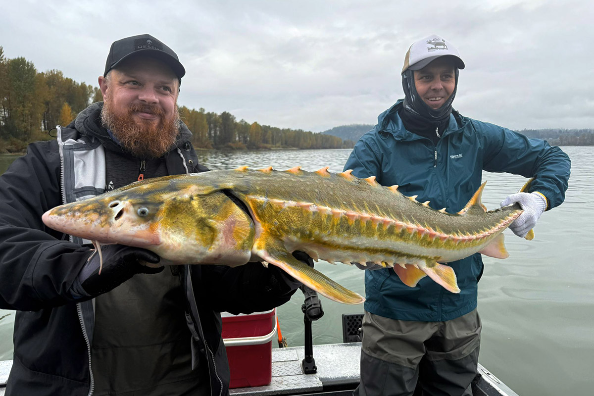 Kanada, Rzeka Fraser